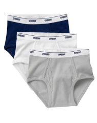 18J1-034 Gymboree Briefs 3-Pack - 2 tuổi