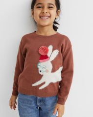 21D3-008 H&M Holiday Sweater - 2 tuổi