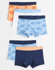 22M2-109 H&M 5-pack Boxer Shorts - 4 tuổi