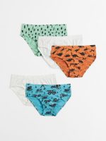 22A2-159 H&M 5-pack Printed Boys’ Briefs - BÉ TRAI