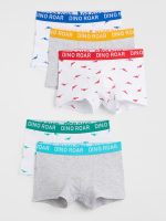 22L3-069 H&M 5-pack Boxer Shorts - BÉ TRAI