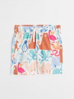 23L3-077 H&M Cotton Shorts - Quần short, quần lửng bé trai