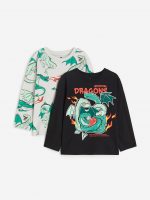 23O2-089 H&M 2-pack Long-sleeved T-shirts - Áo thun bé trai