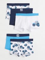 22G3-071 H&M 5-pack Boxer Shorts - Phụ kiện & giày dép cho bé