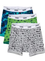17D1-111 Gymboree CAMP BOXER BRIEFS 3-PACK - Phụ kiện & giày dép cho bé